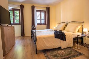 um quarto com uma cama e uma televisão em Vila Radolca apartments & rooms em Radovljica