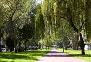a sidewalk lined with trees in a park at Hotel Coia de Vigo in Vigo