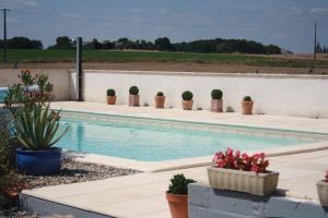 a swimming pool with potted plants next to a wall at Bouye Gite Accommodation in Monflanquin