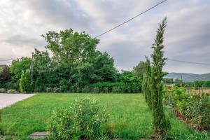 einen Hof mit einem grünen Feld und Bäumen in der Unterkunft Agricampeggio Oro Verde in Verona