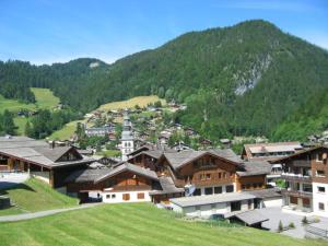拉克吕萨Parnasse 2-203 - Bel appartement sur les pistes de ski et dans le village, au calme的一座有房子的村庄和一座山的背景