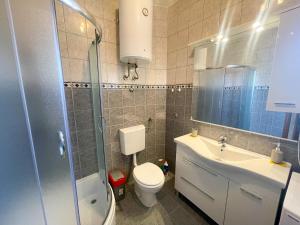 ein Badezimmer mit Toilette, Waschbecken und Dusche in der Unterkunft Apartman Lu&Ni in Dramalj + 14 Fotos