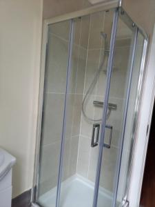 a shower with a glass door in a bathroom at Paddy's Palace Kilarney in Killarney