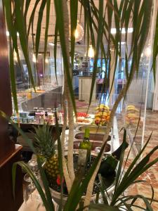 Fotografie z fotogalerie ubytování Hotel Claramar v destinaci Platja  d'Aro