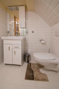 uma casa de banho branca com um WC e um lavatório em CamPetrus- Dom nad wodami Bystrego em Stare Bystre