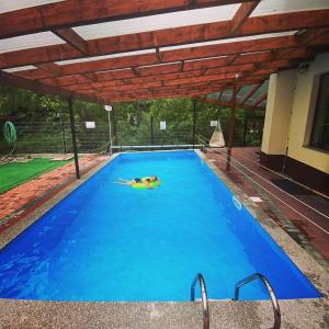 eine Person schwimmt in einem großen blauen Schwimmbecken in der Unterkunft Maison Platanus in Voineasa