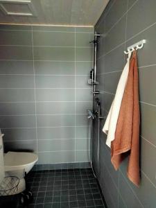 a bathroom with a shower with a toilet and towels at B&B Villa Helmi in Alatemmes