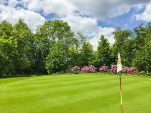 Golf v hotelu nebo okolí