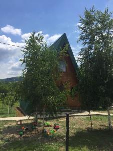 a log cabin with a tree in front of it at Banjska brvnara in Vrnjačka Banja