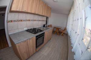 Kuchyň nebo kuchyňský kout v ubytování Vila Eliade