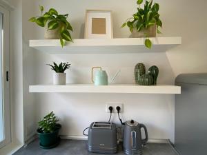 um quarto com prateleiras brancas com vasos de plantas em Project Montalvão em Setúbal