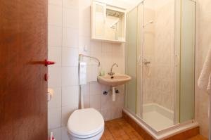 a bathroom with a toilet and a shower and a sink at Apartments Željka in Lumbarda