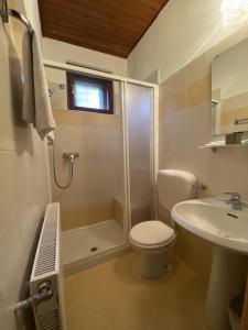 Appartamenti Sorapiss في ميسورينا: حمام مع مرحاض وحوض استحمام ومغسلة