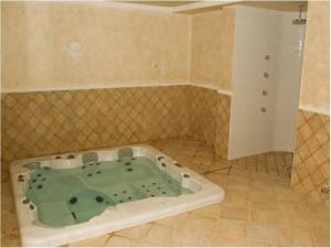 a bathroom with a jacuzzi tub in the floor at Penzion Malovaný in Osvětimany