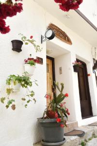 a building with potted plants on the side of it at Eke Irin Apartments in Ohrid