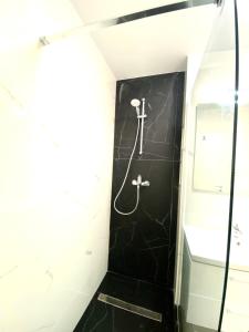 a bathroom with a shower and a black wall at Velvet Home in Timişoara