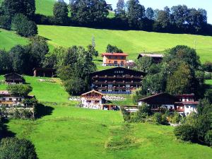 un grupo de casas en una colina con césped verde en Auhof, en Niederau