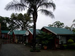 a palm tree in front of a house at Memra Guest House in Ladysmith