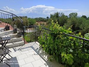 A balcony or terrace at Anastasios Olive Garden Apartments
