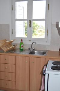 A kitchen or kitchenette at Anastasios Olive Garden Apartments