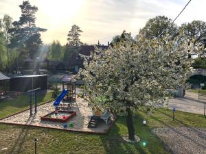 an apple tree in a yard with a playground at Przystań Rodzinna in Kopalino