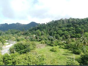 Naturlandschaft in der Nähe des Resorts