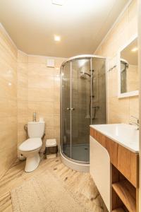 a bathroom with a shower and a toilet and a sink at Villa Grace in Oryavchyk