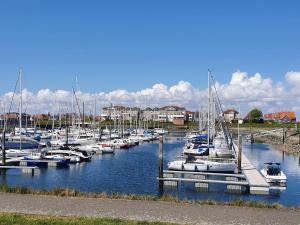 a bunch of boats are docked in a marina at Holiday Home Zeeuwse Cottage Wemeldinge-1 by Interhome in Wemeldinge