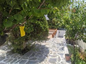 A garden outside ILIAKTI RELAXING SEASIDE