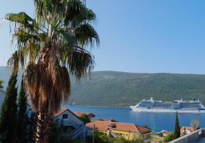 a cruise ship in the water with a palm tree at Apartment Kumbor in Herceg-Novi