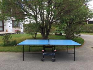 a blue ping pong table in front of a yard at L'Ourson in Gérardmer