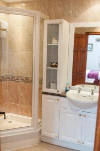 a bathroom with a sink and a shower at Beautiful 1-Bed Cottage in Trellech in Trelleck