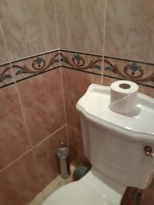 een badkamer met een toilet en een rol toiletpapier bij Beautiful 1-Bed Cottage in Trellech in Trelleck