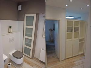 a bathroom with a toilet and a walk in shower at Ferienwohnung Jill Schleiden in Schleiden