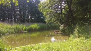 Gallery image of Wigierska Zagroda - agroturystyka in Suwałki