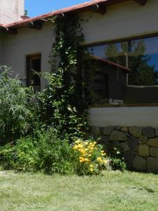 una casa con una finestra e alcuni fiori nel cortile di Cabaña Kenty Wasy a Humahuaca