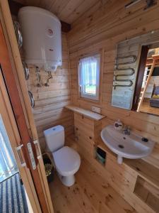 a small bathroom with a toilet and a sink at Siedlisko nr 4E i 4F nad jeziorem Skarlińskim, jezioro, mazury, domki letniskowe, bania in Kurzętnik