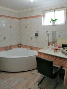 Koupelna v ubytování Elza Apartman