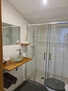La salle de bains est pourvue d'une douche, d'un lavabo et de toilettes. dans l'établissement Dépendance Spacieuse & Cosy Entre et Mer avec Spa, à Landéda