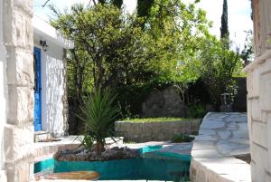 a swimming pool in the yard of a house with a tree at Villa Old Mill in Herceg-Novi +28 photos