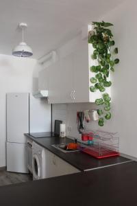 Una cocina con un fregadero y una planta colgando de la pared. en Apartamento Guadiaro 3 Ainhoa, en Benaoján