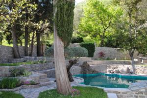 una piscina in un giardino con un albero di Villa Old Mill a Herceg-Novi
