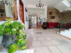 a living room with a large potted plant in the middle at Casale Ginisara in Castellammare del Golfo