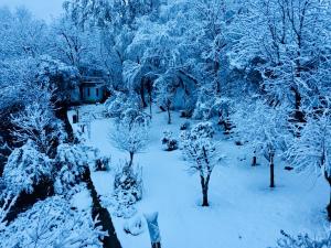 a garden covered in snow with trees and a house at Cielo de Piedra. Cabañas y Petit Hotel in Tanti
