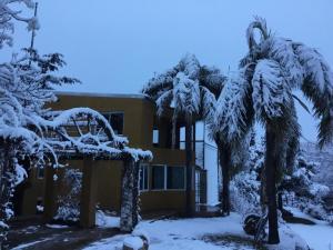 a house with a palm tree in the snow at Cielo de Piedra. Cabañas y Petit Hotel in Tanti