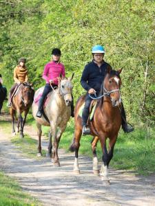 tres personas montando caballos por un camino de tierra en Domaine des Pierres Jumelles-balade à cheval-chambre d'hôtes Mayenne, en Sainte-Gemmes-le-Robert