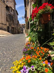 a street with flowers on the side of a road at Appartamento "In viaggio come a casa" vicino alla Stazione, LTScalo! in Monticchio