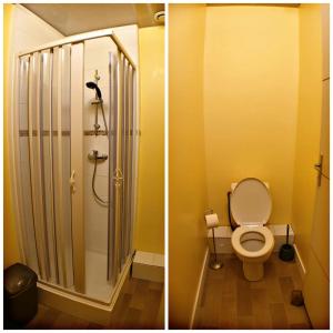 two pictures of a bathroom with a toilet and a shower at Gîte BIDEAN in Saint-Jean-Pied-de-Port