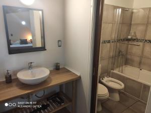 Un baño con lavabo, inodoro y ducha. en Ushuaia Got, en Ushuaia 5 fotos más