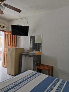 een slaapkamer met een bed, een tv en een open haard bij Hotel Hortencia in Puerto Vallarta